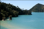 New Zealand: Abel Tasman National Park